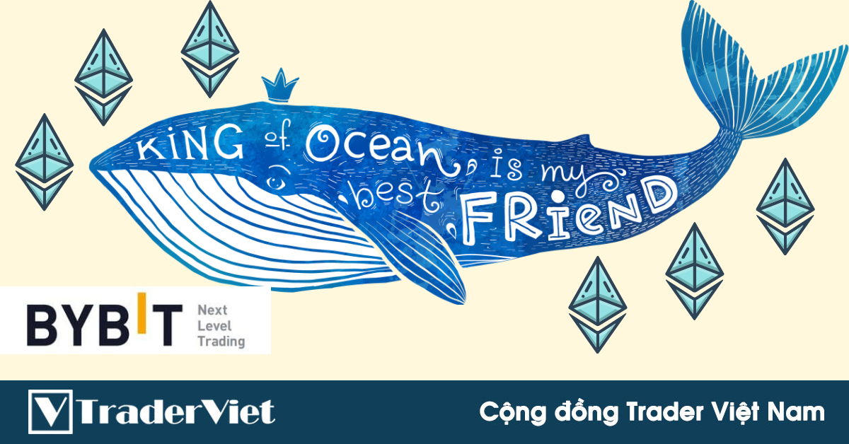 'Cá voi' đang gom Ethereum!!!!