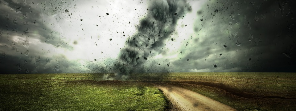 Chiều nay sẽ có bão lớn, nhưng không phải là của USD nhé. Kịch bản đón sóng đây