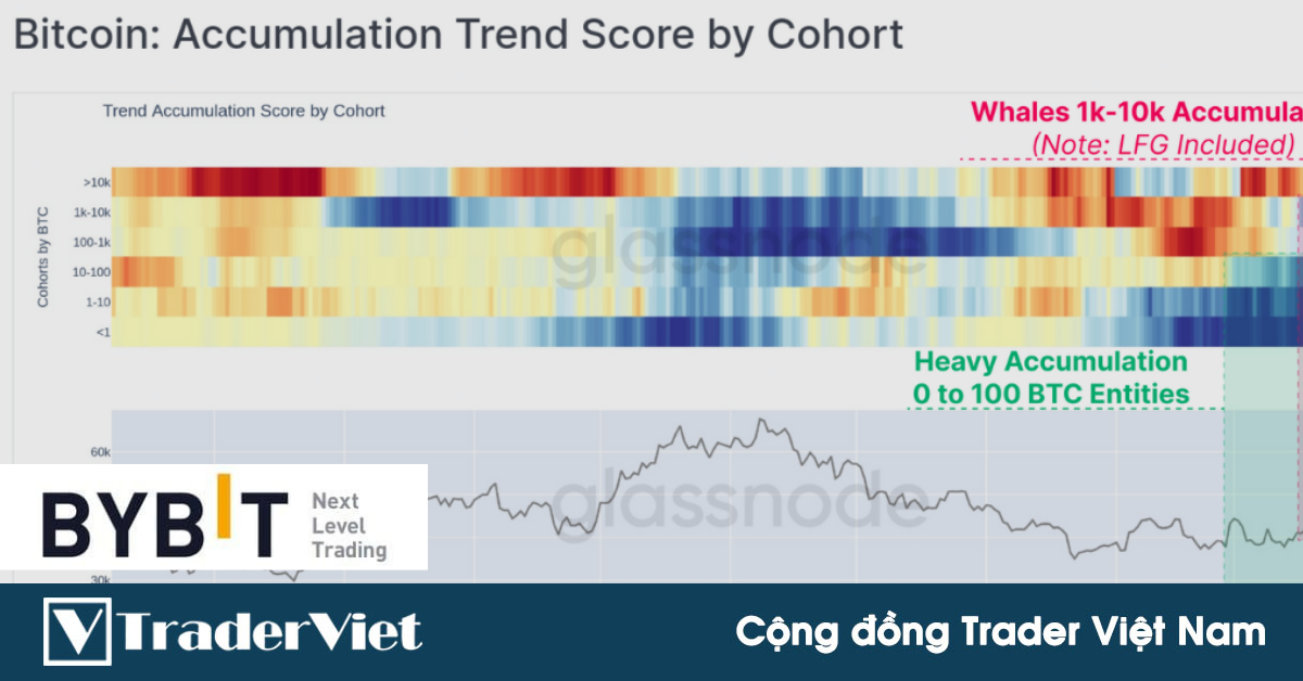[On-chain] Đã bắt đầu có dấu hiệu tích lũy mạnh từ "Cá voi" và "Tôm"