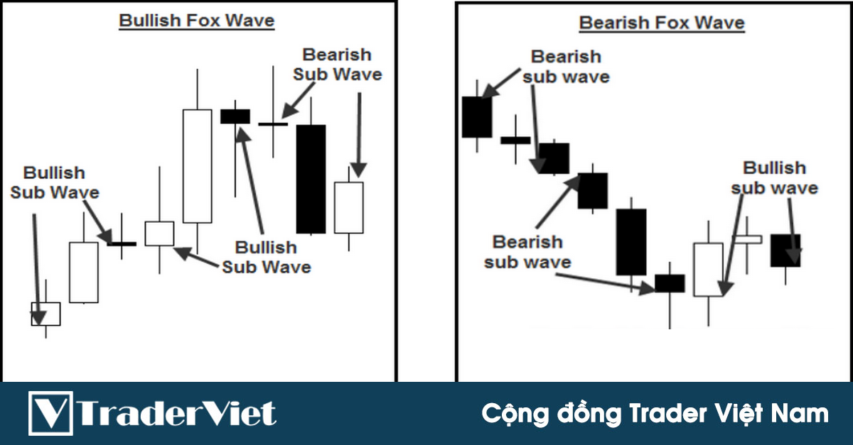 Hệ thống giao dịch sóng Fox - Phần 1: Hệ thống phân tích price action và khối lượng CỰC BÁ ĐẠO