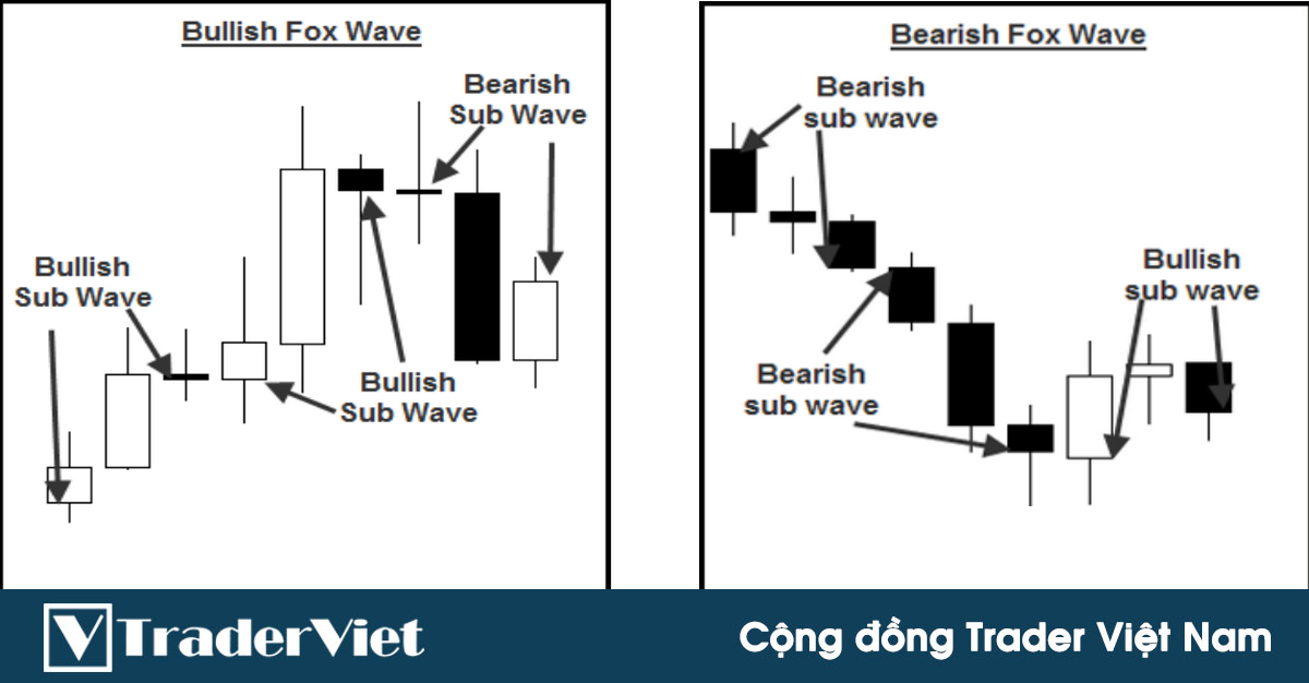 Hệ thống giao dịch sóng Fox - Phần 2: Phân tích khối lượng sóng để xác định mô hình giao dịch LÝ TƯỞNG