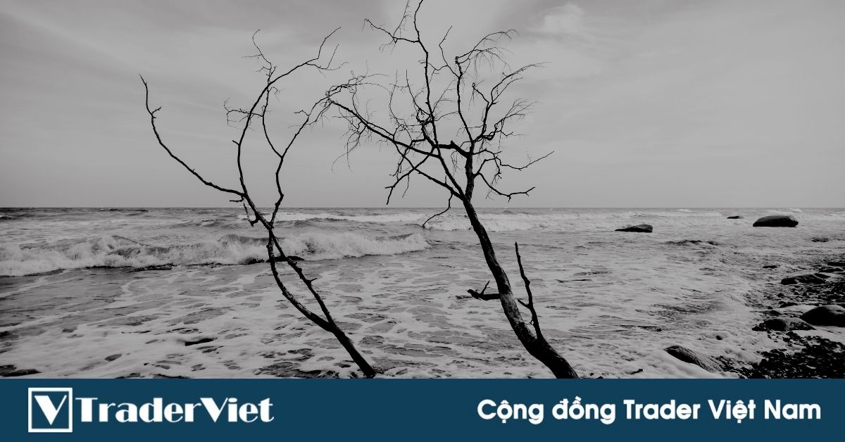 Chuyện Cafe cùng một cựu chuyên gia tài chính phá sản vì lướt sóng thị trường