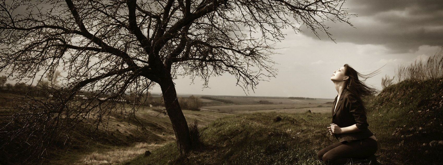 Ngày càng có nhiều người hướng về Bitcoin, liệu đây có phải yếu tố giúp Bitcoin tiếp tục tăng giá?