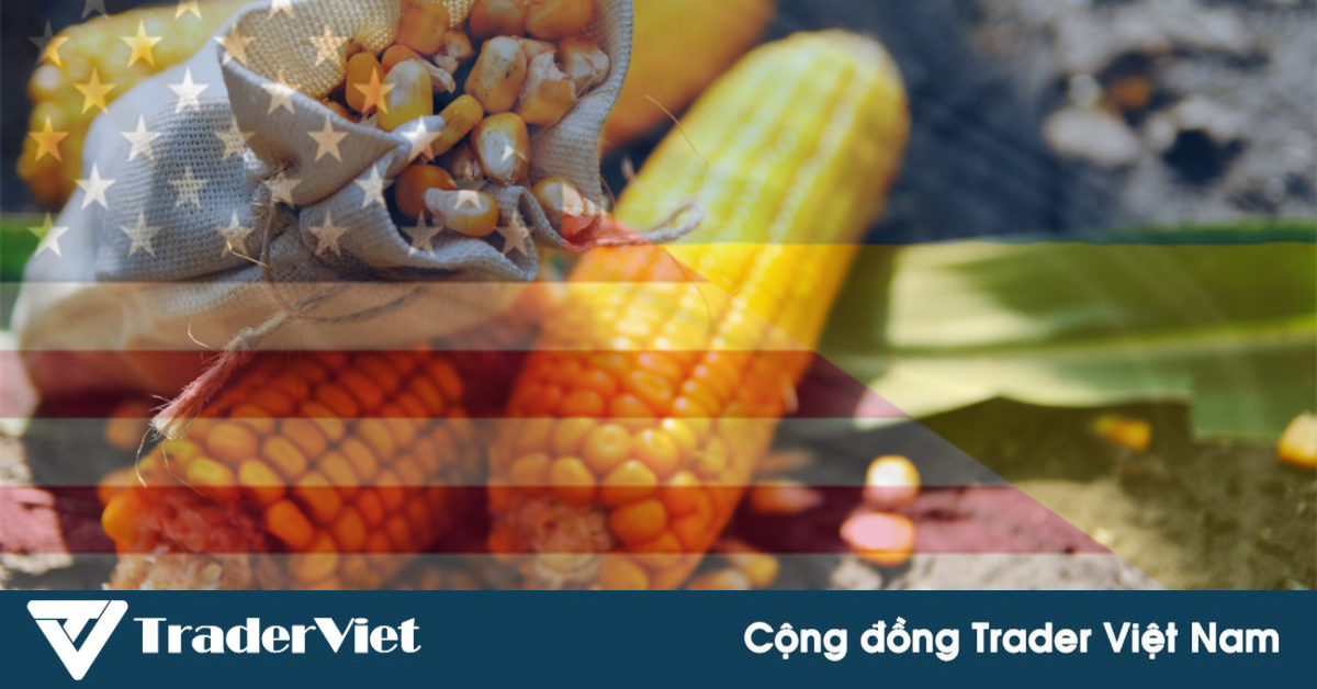 Các yếu tố ảnh hưởng đến giá HĐTL Ngô (ZC)