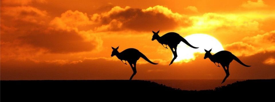 Nguyên nhân khiến Aussie vừa thủng đáy. Kèo trade gì cho Aussie bây giờ?