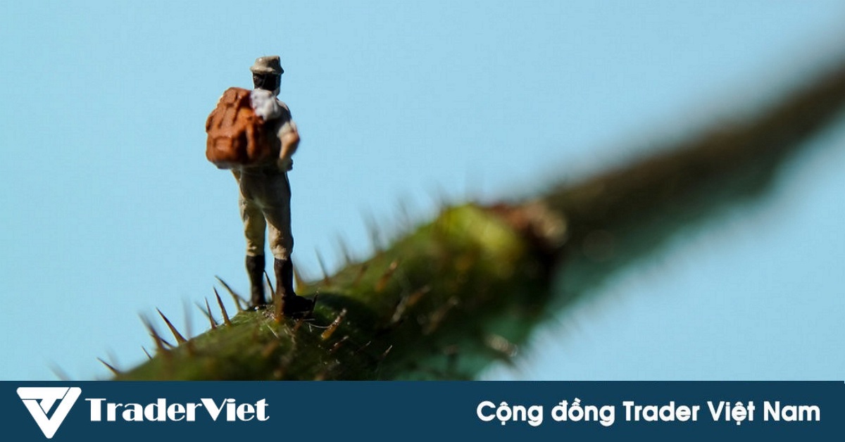 [Thử thách] 80$ -> 1000$ bằng phương pháp Scalping khung M1 phiên mỹ