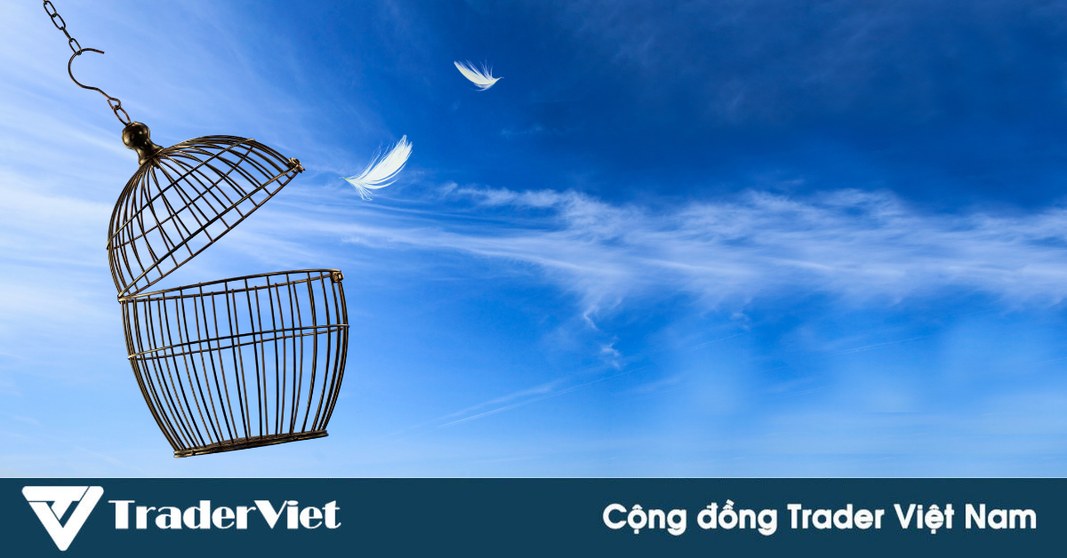 Hiệu ứng lồng chim và cách trader có thể tận dụng hiệu ứng này vào giao dịch cũng như cuộc sống!