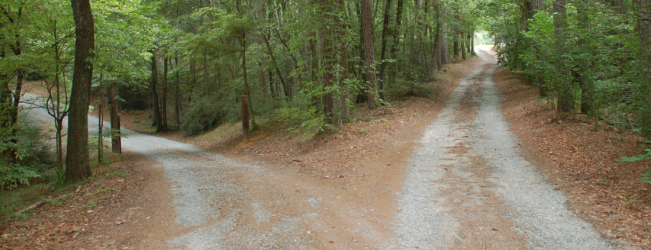 Tại sao giao dịch trên khung thời gian lớn lại an toàn cho tài khoản của bạn?