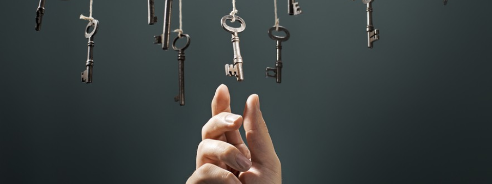 [Thảo luận] Anh em Trader lựa chọn trang web về đầu tư tài chính dựa trên tiêu chí nào?