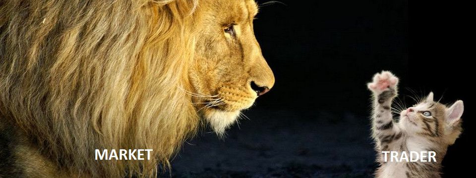 Một phiên Mỹ "bùng cháy" trong 30 phút đang đợi Trader tối nay?