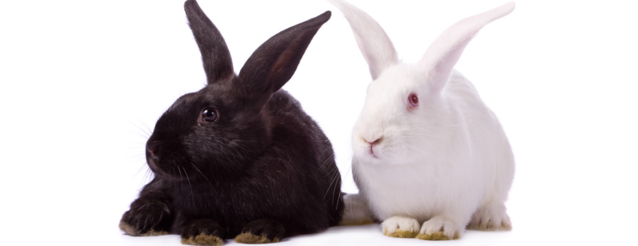 Những kiểu setup trong trading – Bạn thường giao dịch với kiểu nào?