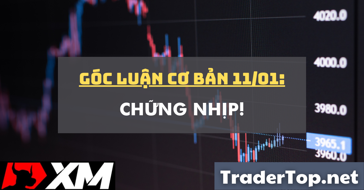 Góc luận Cơ bản 11/01: Chững nhịp!
