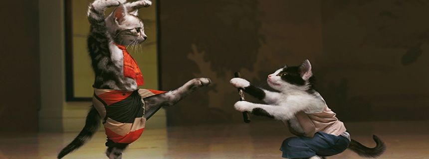 Cuộc chiến căng thẳng nhất thời điểm hiện tại: Ngân hàng VS Bitcoin