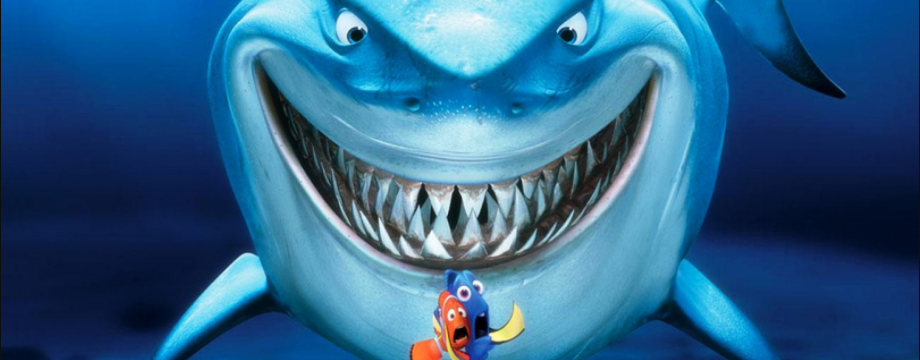 Thay vì lo lắng thái quá về stop-hunt, bạn nên tập trung tối ưu hóa stop-loss của mình!