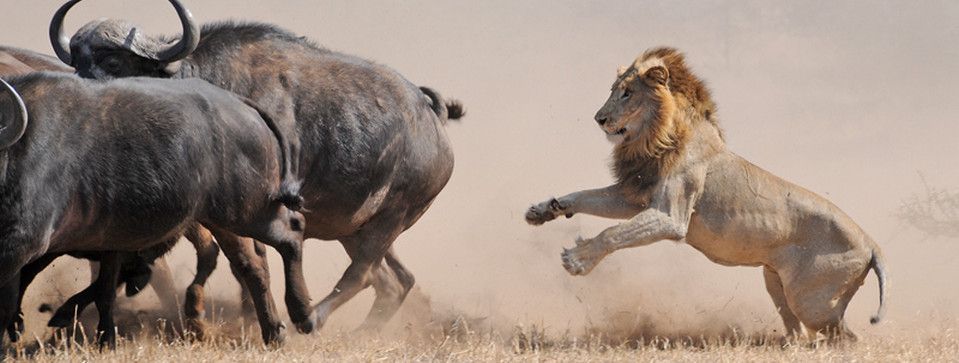 Hôm nay là ngày cuối tuần không yên tĩnh, mà ngay cả ngày nghỉ cuối tuần này cũng chẳng yên tĩnh