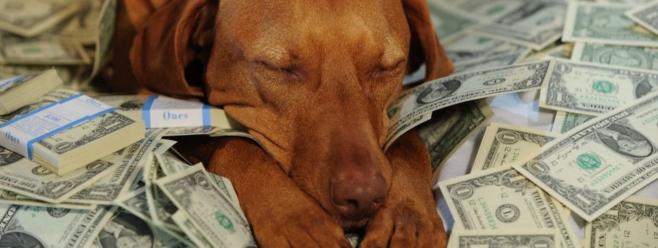 [Quản lý vốn] Khái niệm yếu tố lợi nhuận - Profit Factor có phải là chìa khóa thành công cho trader?