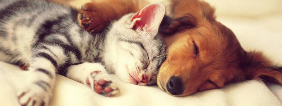 [Quản lý vốn] Nghịch lý về một kỹ thuật xác định khối lượng giao dịch linh hoạt