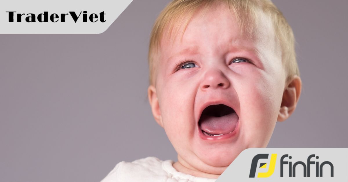 'Hôm nay em bị thằng Quỹ Fundednext bùng tiền các bác ạ'