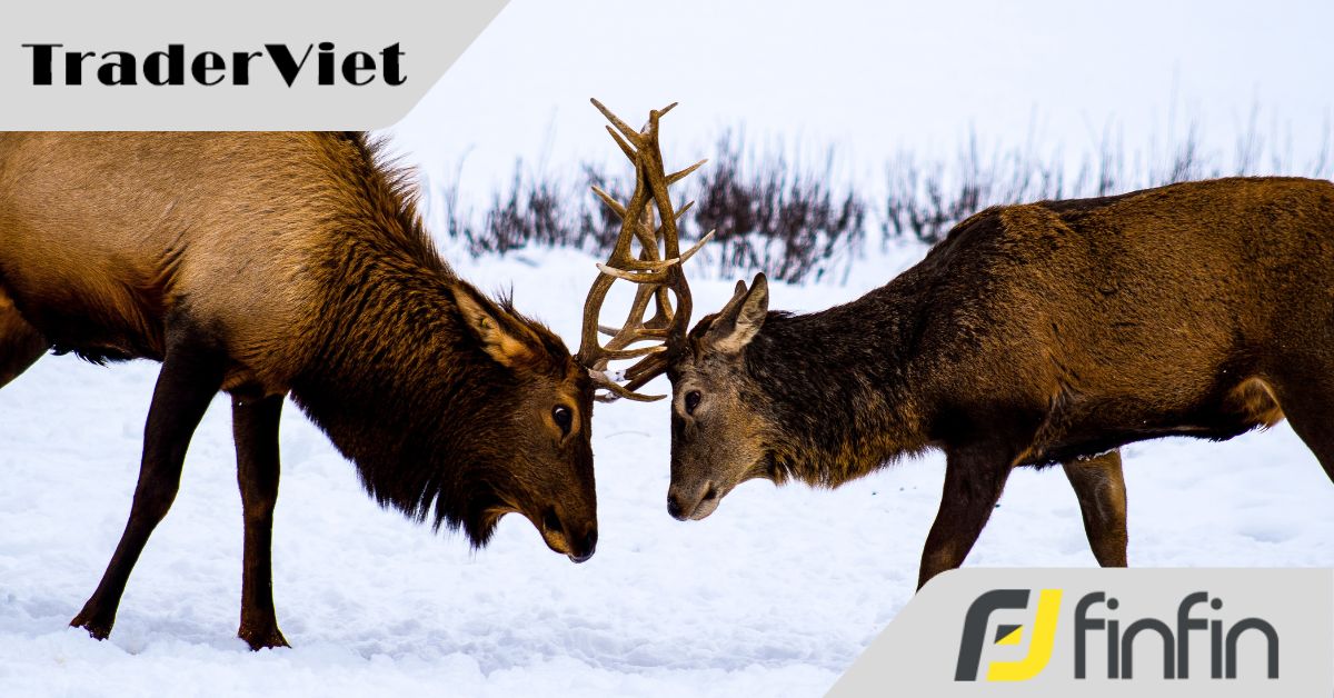 Fxstreet tố Investing 'chơi xấu'