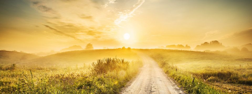 Hành trình "trưởng thành" của một Forex Trader trẻ tuổi