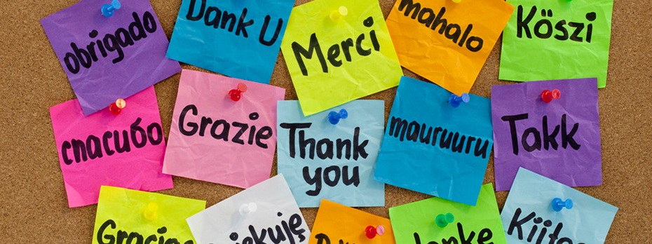 Đọc phân tích tiếng Anh mỗi ngày mà không rành tiếng Anh lắm? Chuyện nhỏ