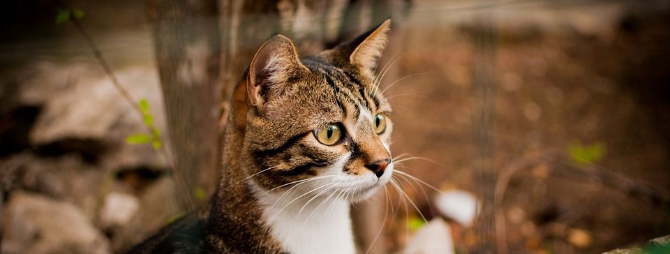 [Quản lý rủi ro] Đọc xong bài này, có lẽ bạn sẽ có suy nghĩ khác về Drawdown !