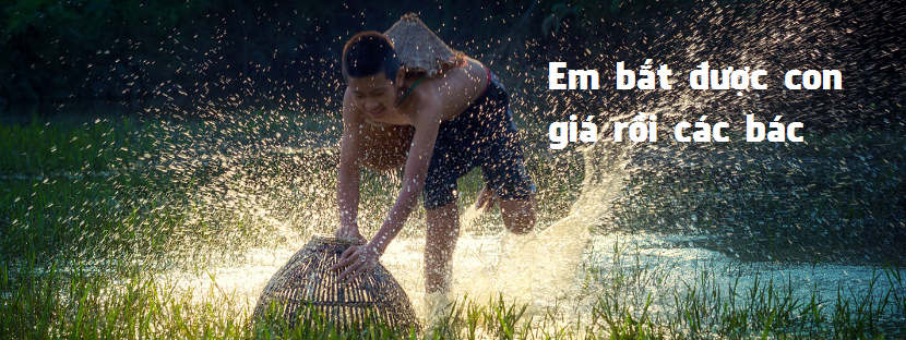 Tổng hợp lại về EA Bẫy giá cho anh em