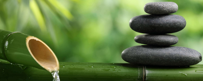 Câu chuyện về Thiền - Bài học giữ tâm trí thanh tịnh trong trading.