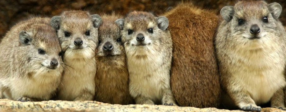 5 nguyên tắc giúp bạn giao dịch đảo chiều - Reversal hiệu quả hơn