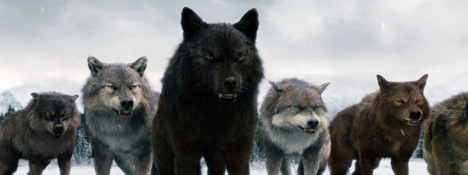 Phòng xông hơi của Bầy Sói - Chap 2: Giữa bầy sói